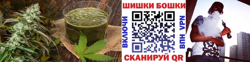 купить  цена  Избербаш  MEGA   Canna-Cookies конопля 
