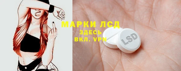 винт Алзамай