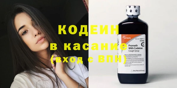 индика Абаза