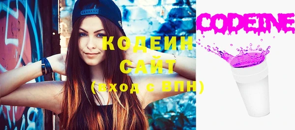 индика Абаза