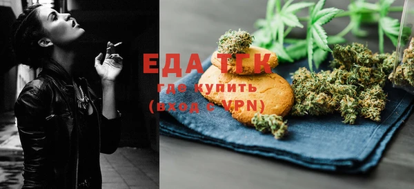 индика Абаза