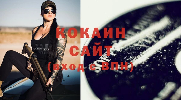 индика Абаза