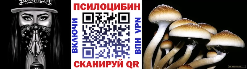 наркотики  Избербаш  ссылка на мегу вход  Псилоцибиновые грибы Cubensis 
